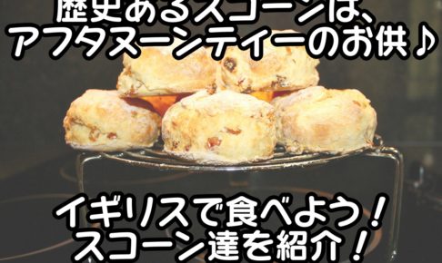 ドイツ旅行で持ち込み禁止の日本食は 旅行前に確認しよう 海外旅行が好きな夫婦が教えるおすすめ情報